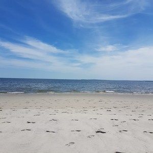 Meet your Posher, Bella